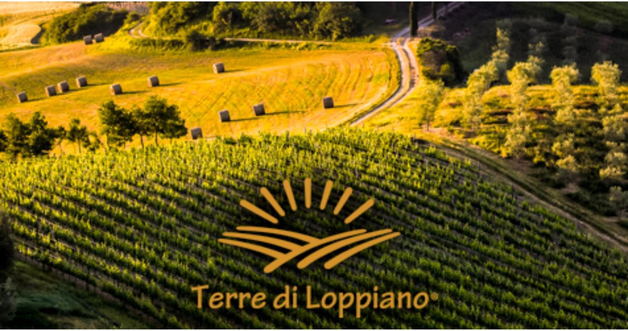 Вилла Agriturismo Fattoria Di Loppiano Regina Mundi Vivajo Экстерьер фото